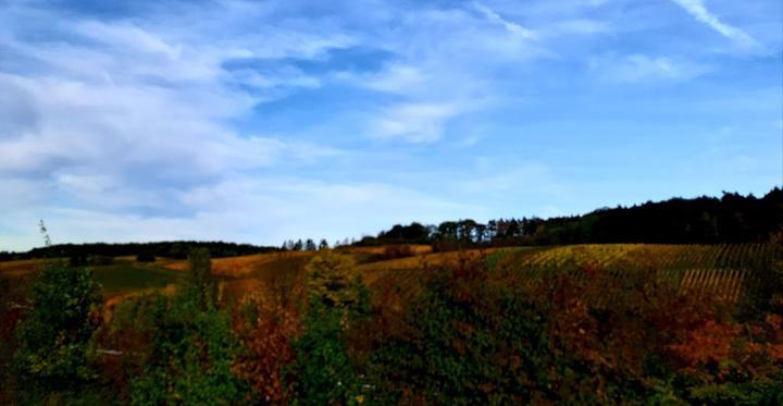 Waldschenke Zum Aennchen